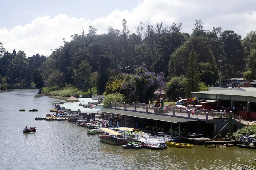 Boats on Ooty Lake beside the boat house